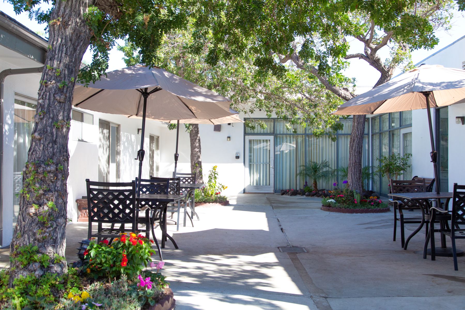 pacific care patio area